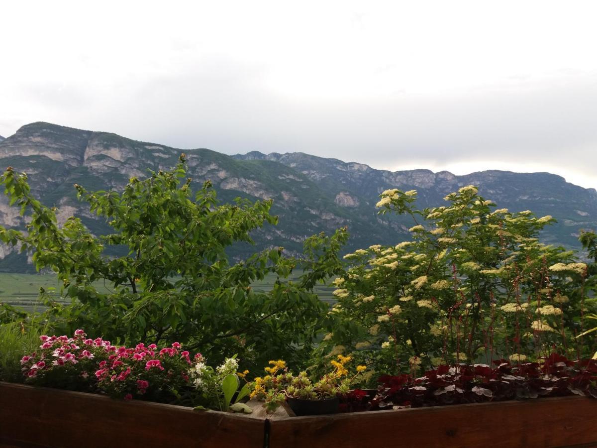 B&B Klammhof Panorama Salorno Eksteriør bilde