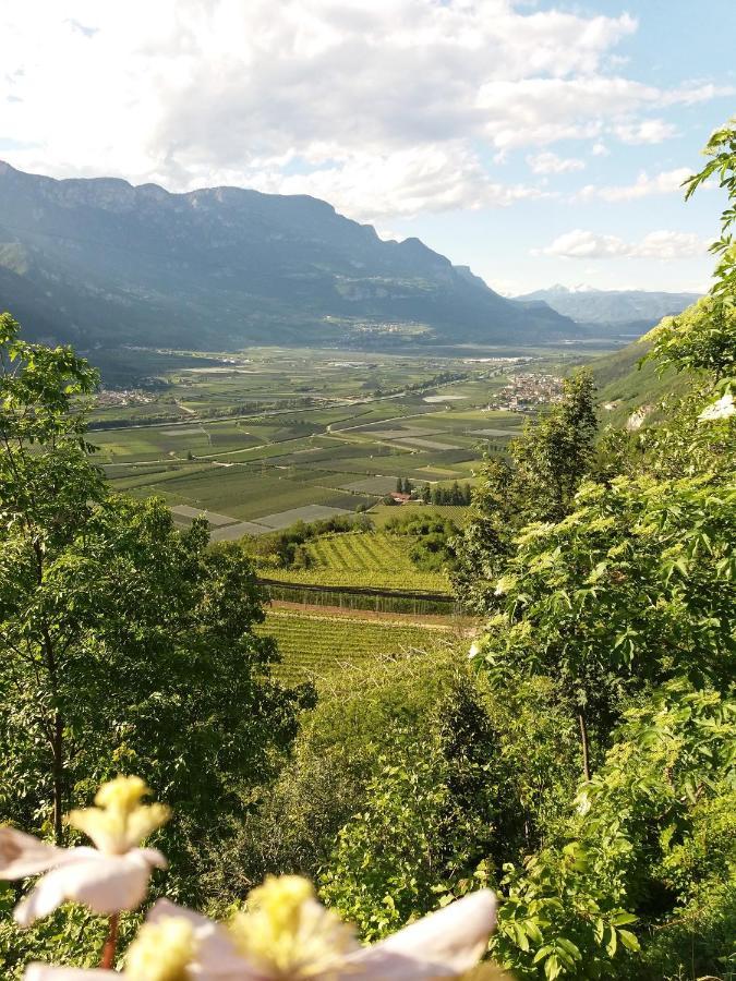 B&B Klammhof Panorama Salorno Eksteriør bilde